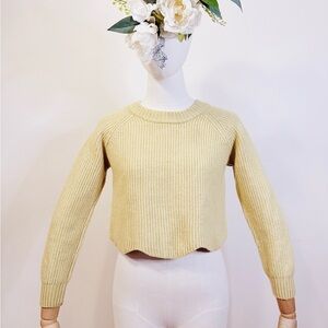 Wilfred Pastel Yellow Scallop Crop Sweater – Aritzia
✨ 100% Merino Wool